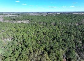 189+/- Acres of Farm and Timber Land For Sale in Robeson County, NC!