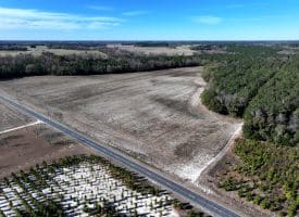 189+/- Acres of Farm and Timber Land For Sale in Robeson County, NC!