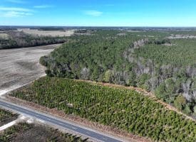 189+/- Acres of Farm and Timber Land For Sale in Robeson County, NC!