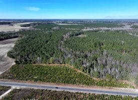 189+/- Acres of Farm and Timber Land For Sale in Robeson County, NC!