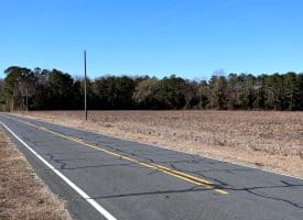 189+/- Acres of Farm and Timber Land For Sale in Robeson County, NC!