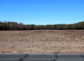 189+/- Acres of Farm and Timber Land For Sale in Robeson County, NC!