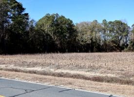 189+/- Acres of Farm and Timber Land For Sale in Robeson County, NC!