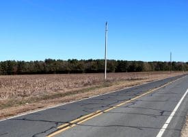 189+/- Acres of Farm and Timber Land For Sale in Robeson County, NC!