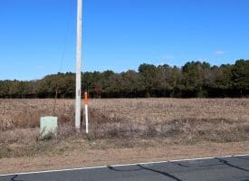 189+/- Acres of Farm and Timber Land For Sale in Robeson County, NC!