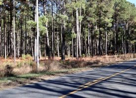 189+/- Acres of Farm and Timber Land For Sale in Robeson County, NC!
