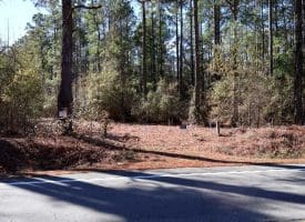 189+/- Acres of Farm and Timber Land For Sale in Robeson County, NC!