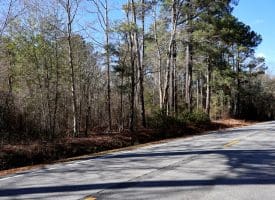 189+/- Acres of Farm and Timber Land For Sale in Robeson County, NC!