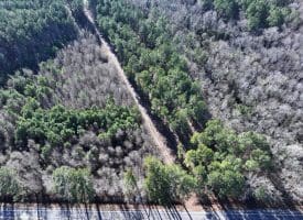 24+/- Acres of Timber and Hunting Land for Sale in Robeson County, NC!