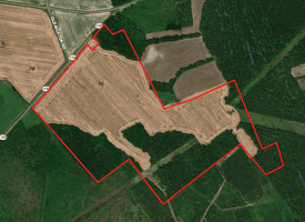 109+/- Acres of Farm and Timber Land For Sale in Hoke County NC!