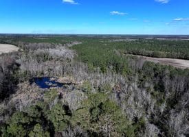 43+/- Acres of Farm and Timber Land For Sale in Robeson County NC!