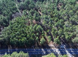 Lot 7 – 6+/- Acre Lot For Sale in Robeson County, NC!