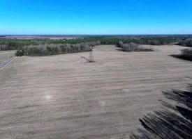 109+/- Acres of Farm and Timber Land For Sale in Hoke County NC!