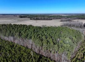 109+/- Acres of Farm and Timber Land For Sale in Hoke County NC!
