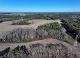109+/- Acres of Farm and Timber Land For Sale in Hoke County NC!