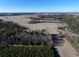 109+/- Acres of Farm and Timber Land For Sale in Hoke County NC!