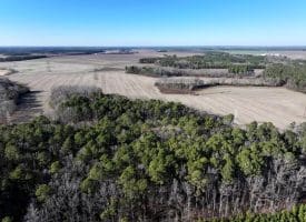 109+/- Acres of Farm and Timber Land For Sale in Hoke County NC!