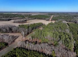 109+/- Acres of Farm and Timber Land For Sale in Hoke County NC!