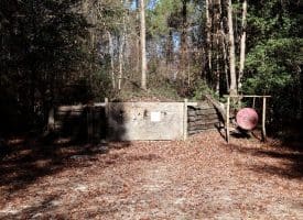20+/- Acres of Timber and Hunting Land For Sale in Robeson County, NC!