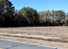Lot 24 – 43+/- Acres of Farm and Timber Land For Sale in Robeson County NC!