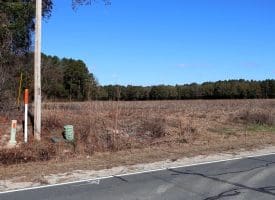 43+/- Acres of Farm and Timber Land For Sale in Robeson County NC!