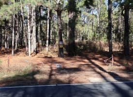 Lot 9 – 5+/- Acre Lot For Sale in Robeson County, NC!