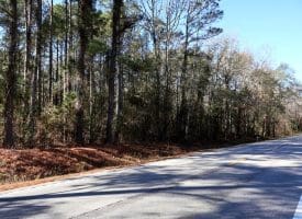 Lot 27 – 25+/- Acres of Timber and Hunting Land For Sale in Robeson County, NC!