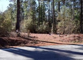 24+/- Acres of Timber and Hunting Land for Sale in Robeson County, NC!