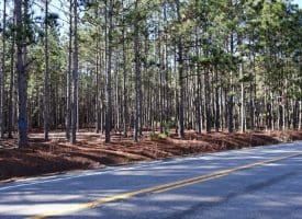Lot 8 – 4+/- Acre Lot For Sale in Robeson County, NC!