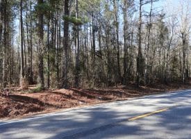 Lot 27 – 25+/- Acres of Timber and Hunting Land For Sale in Robeson County, NC!