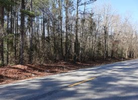 Lot 27 – 25+/- Acres of Timber and Hunting Land For Sale in Robeson County, NC!