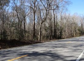 Lot 27 – 25+/- Acres of Timber and Hunting Land For Sale in Robeson County, NC!