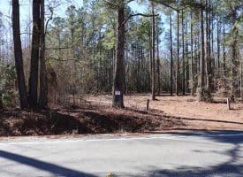 24+/- Acres of Timber and Hunting Land for Sale in Robeson County, NC!