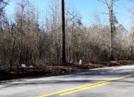 5.5+/- Acre Lot For Sale in Robeson County, NC!