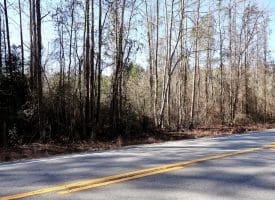5.5+/- Acre Lot For Sale in Robeson County, NC!