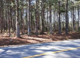 Lot 2 – 6+/- Acre Lot For Sale in Robeson County, NC!