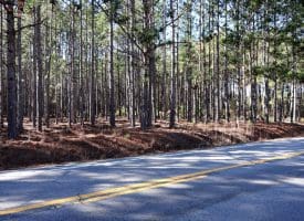 Lot 3 – 6+/- Acre Residential Lot For Sale in Robeson County, NC!