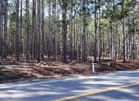 Lot 3 – 6+/- Acre Residential Lot For Sale in Robeson County, NC!