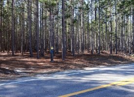 Lot 4 – 6+/- Acre Lot For Sale in Robeson County NC!