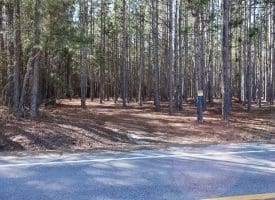 Lot 4 – 6+/- Acre Lot For Sale in Robeson County NC!
