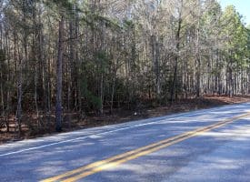 Lot 4 – 6+/- Acre Lot For Sale in Robeson County NC!