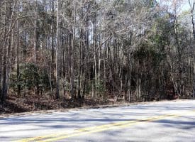 Lot 5 – 6+/- Acre Lot For Sale in Robeson County, NC!