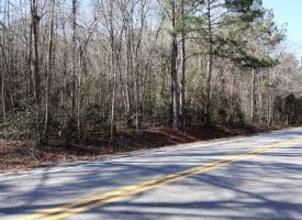 Lot 5 – 6+/- Acre Lot For Sale in Robeson County, NC!