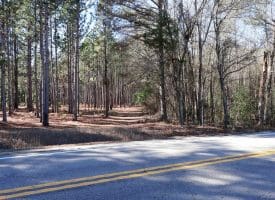 Lot 6 – 6+/- Acre Lot for Sale in Robeson County, NC!