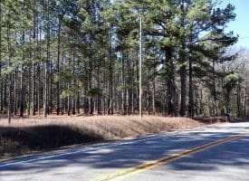 Lot 6 – 6+/- Acre Lot for Sale in Robeson County, NC!