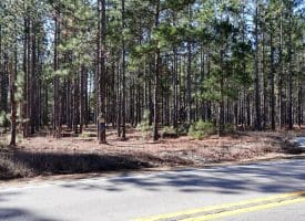 Lot 8 – 4+/- Acre Lot For Sale in Robeson County, NC!