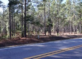 Lot 8 – 4+/- Acre Lot For Sale in Robeson County, NC!