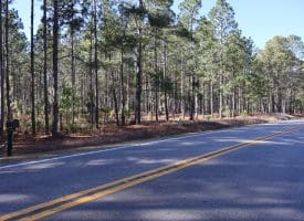 Lot 8 – 4+/- Acre Lot For Sale in Robeson County, NC!