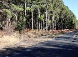 Lot 9 – 5+/- Acre Lot For Sale in Robeson County, NC!
