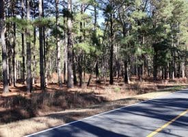 Lot 9 – 5+/- Acre Lot For Sale in Robeson County, NC!
